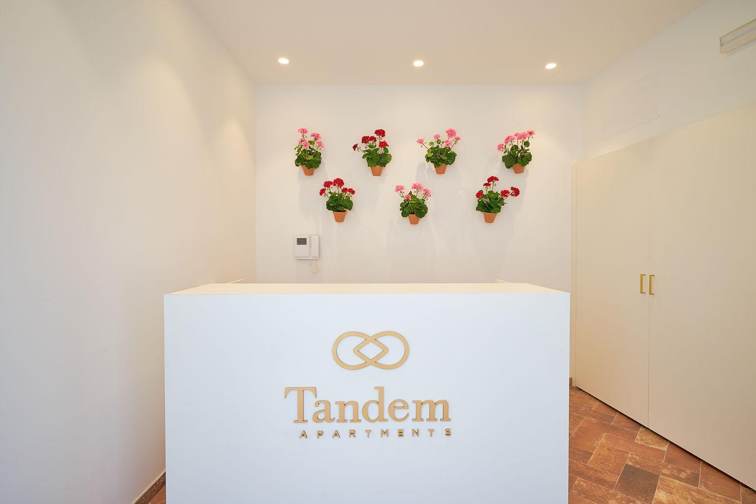Tandem El Patio Daire Cordoba Dış mekan fotoğraf